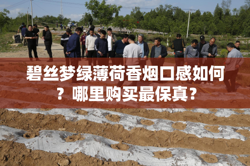 碧丝梦绿薄荷香烟口感如何？哪里购买最保真？